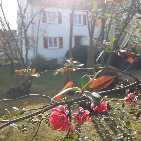Zum Scheunenhof - Ichenhausen